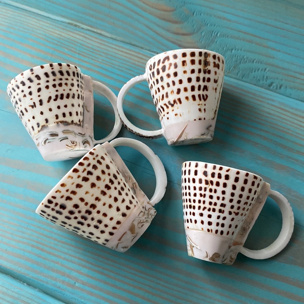 SHELL CUPS